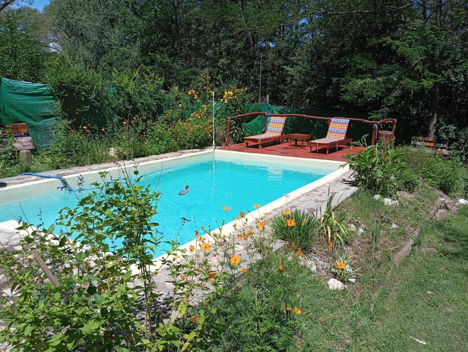 Villa La Isolina Villa Giardino Exterior foto
